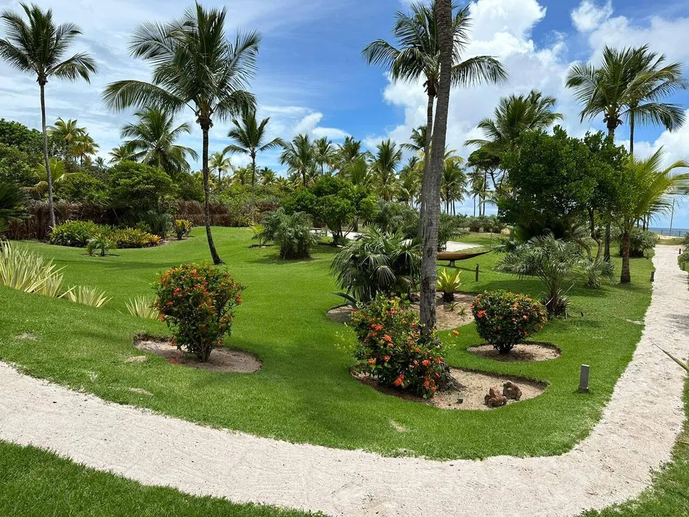 Sítio, 6 quartos, 7 hectares - Foto 6