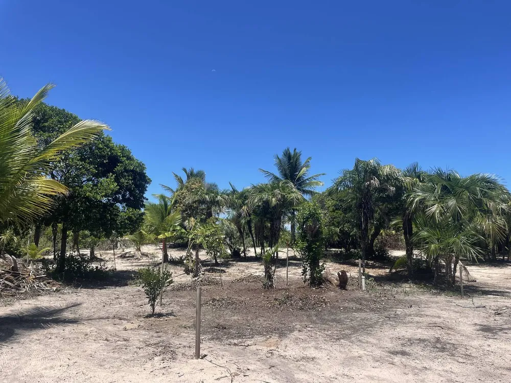 Terreno, 10000 m² - Foto 3