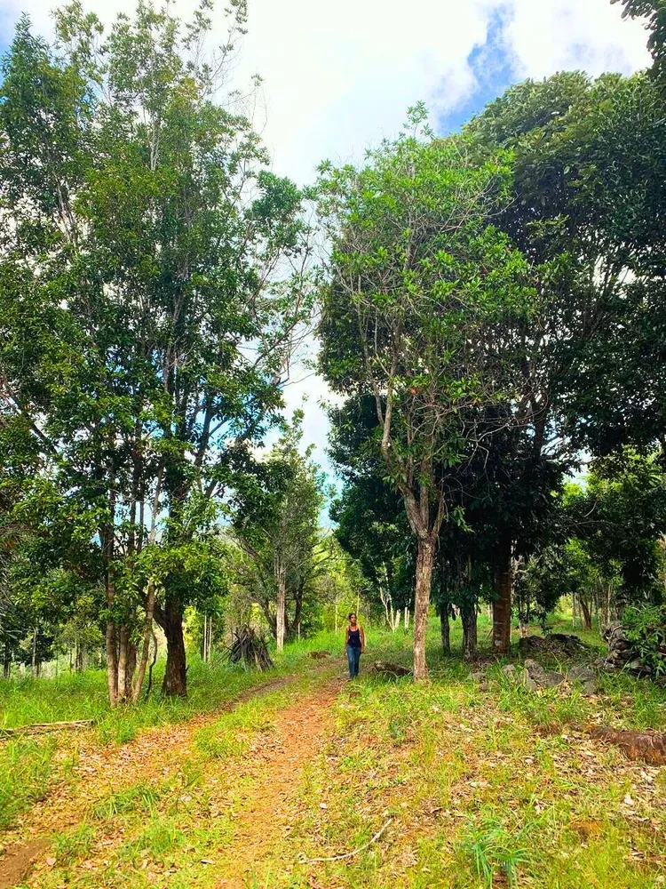 Terreno, 36 hectares - Foto 2