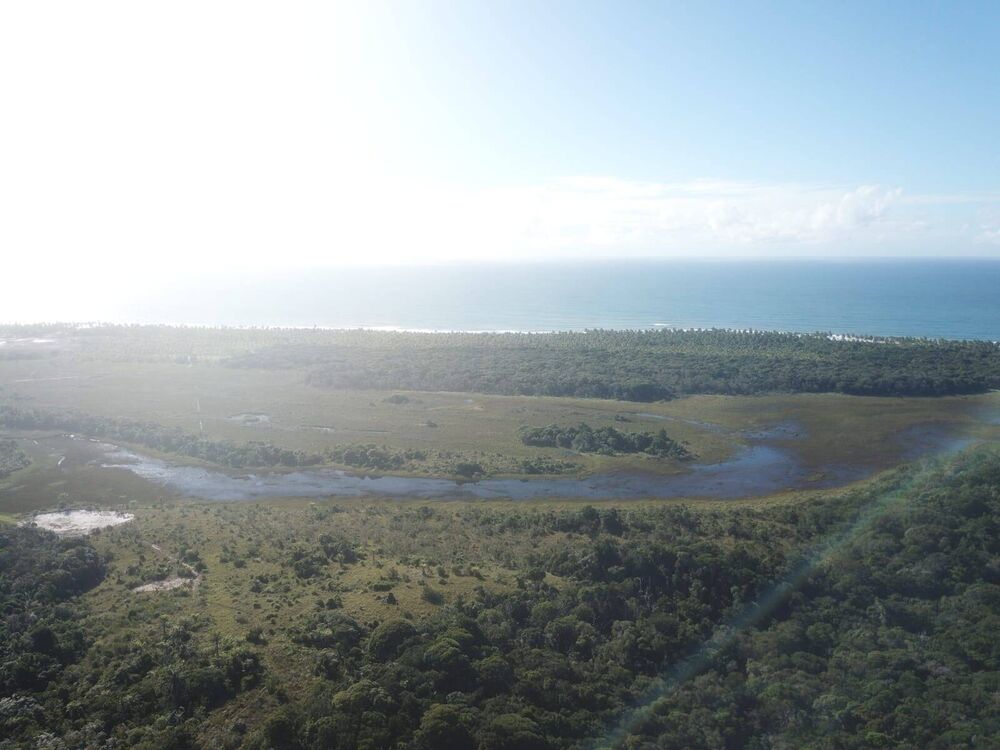 Terreno à venda, 10000m² - Foto 3