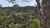 Terreno, 10000 m² - Foto 5