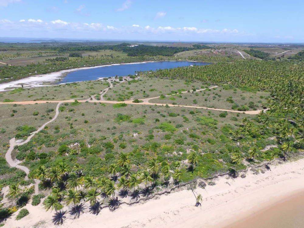 Terreno, 12 hectares - Foto 4