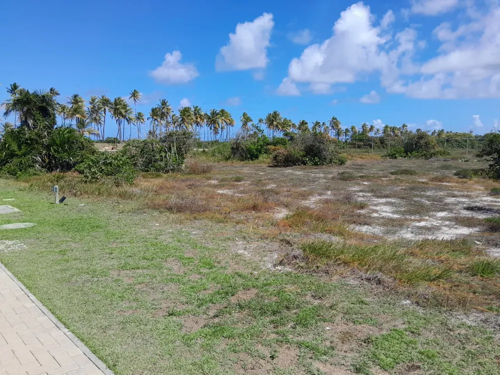 Terreno, 700 m² - Foto 4