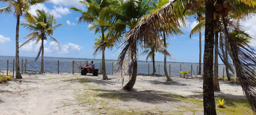 Casa, 3 quartos, 120 m² - Foto 4