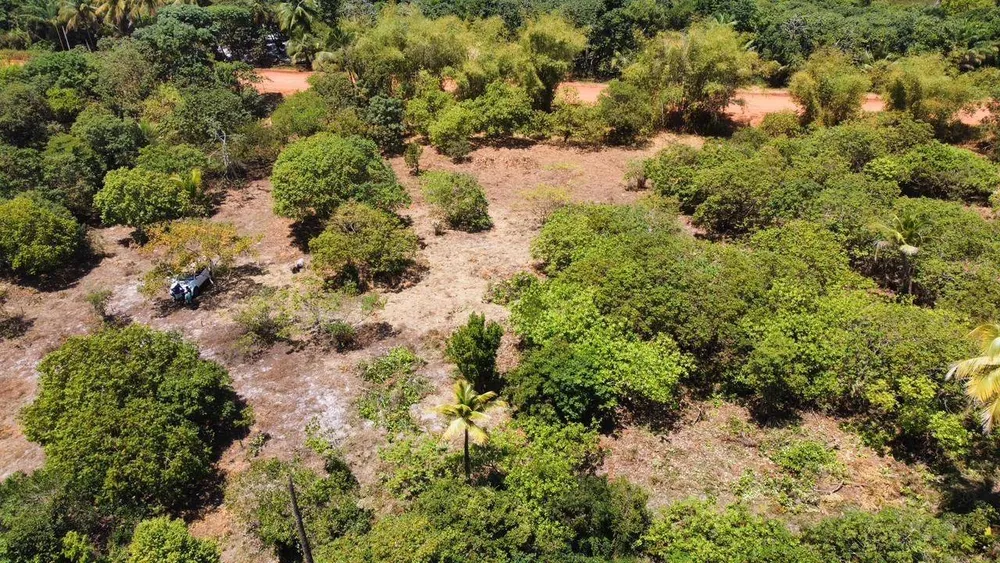 Terreno, 10000 m² - Foto 2