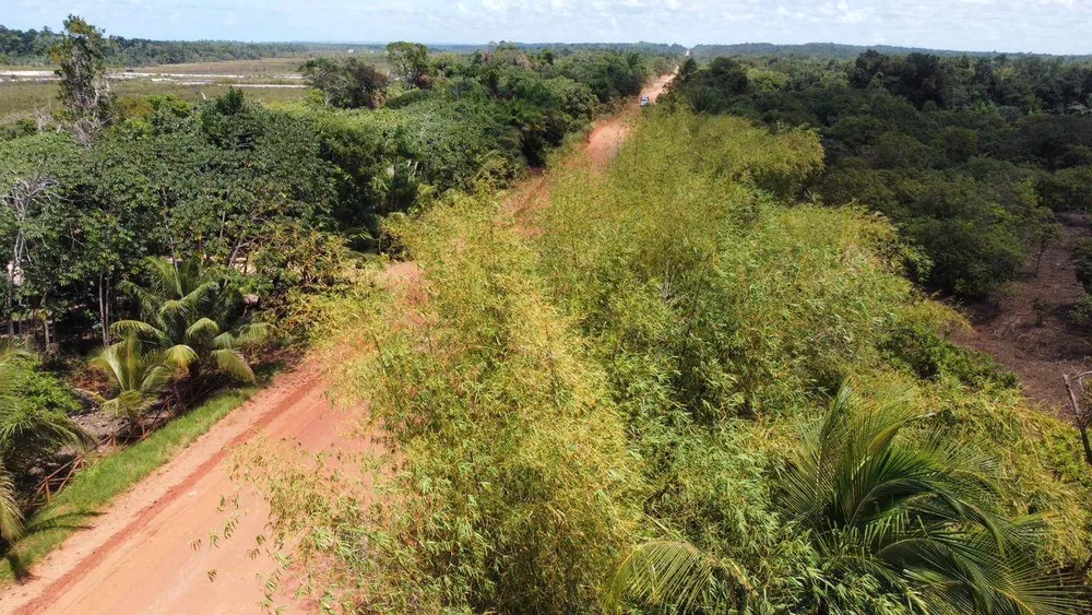 Terreno, 10000 m² - Foto 3