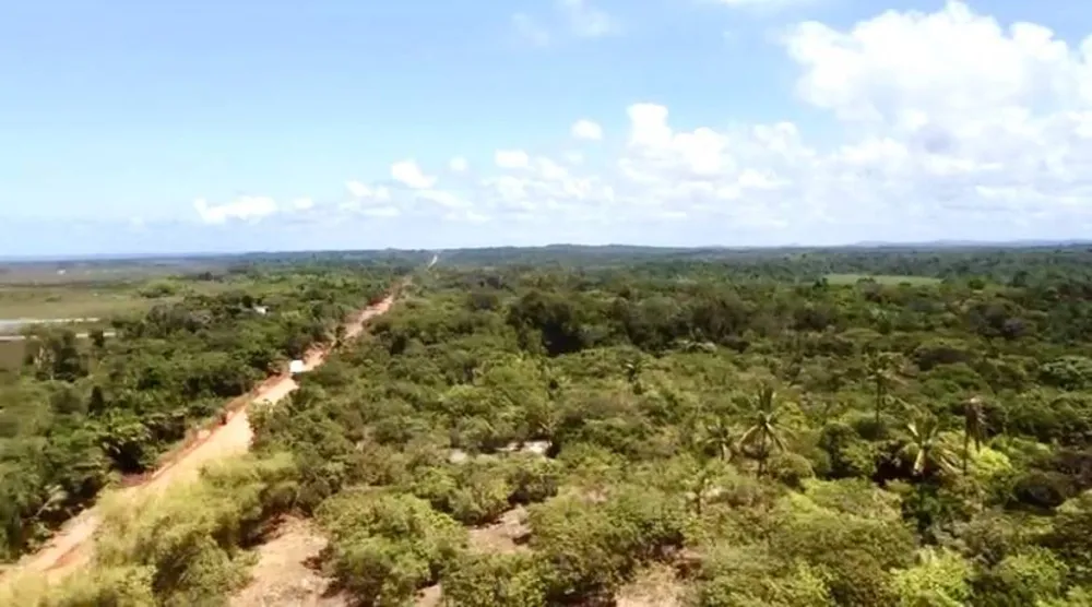 Terreno, 10000 m² - Foto 1