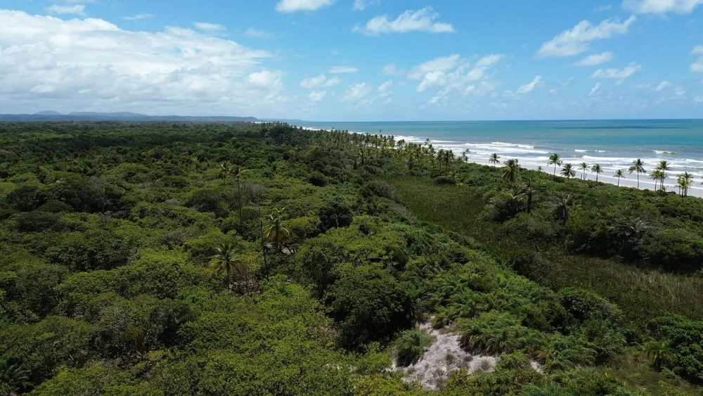Fazenda, 24 hectares - Foto 3