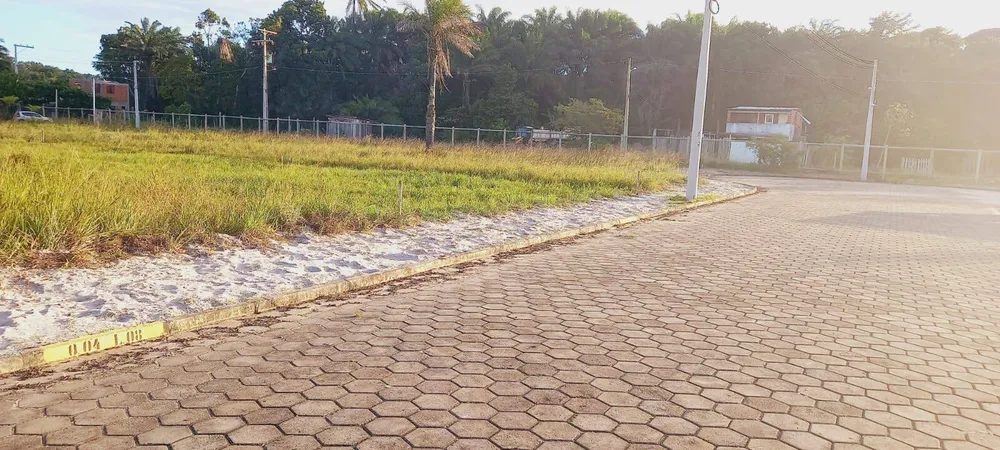 Terreno, 36 hectares - Foto 4