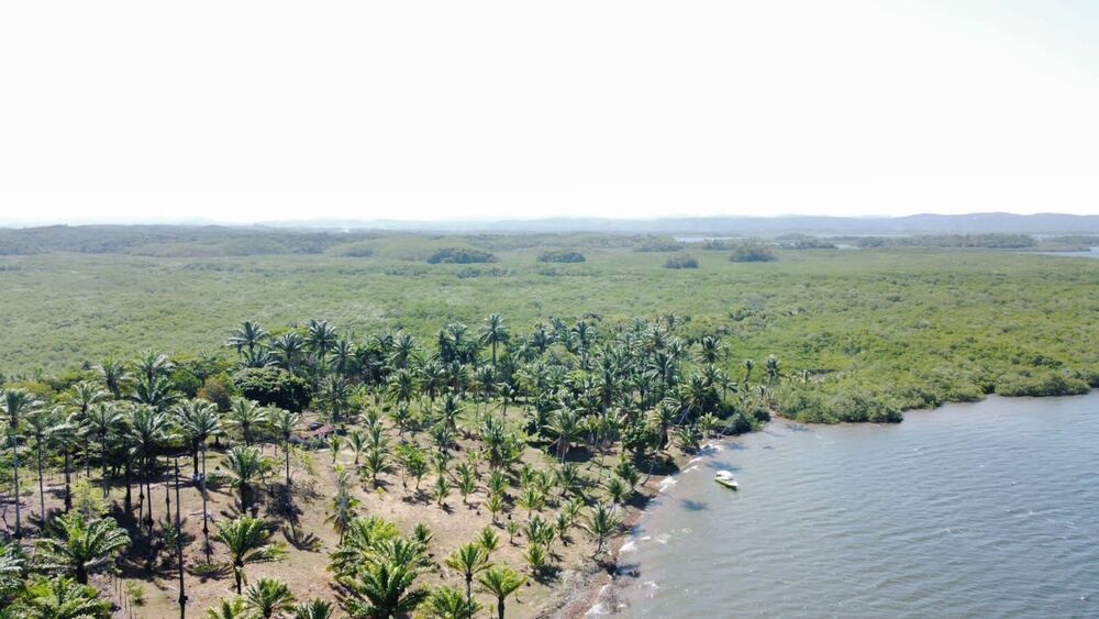 Terreno à venda, 50m² - Foto 3