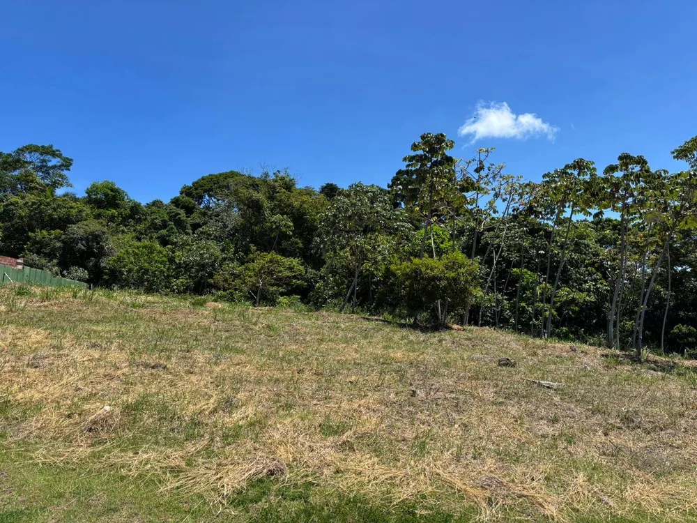 Terreno, 405 m² - Foto 3