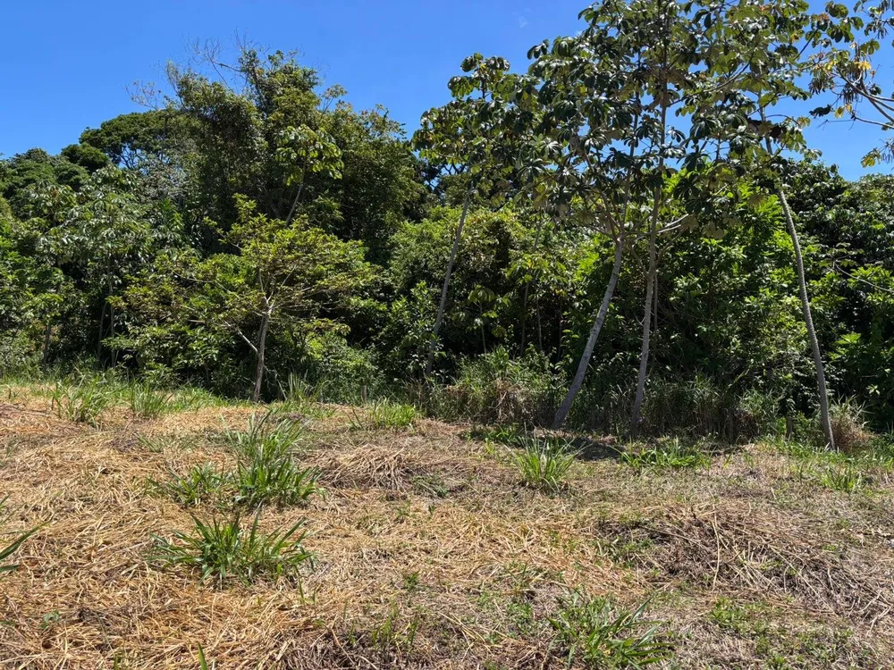 Terreno, 405 m² - Foto 2
