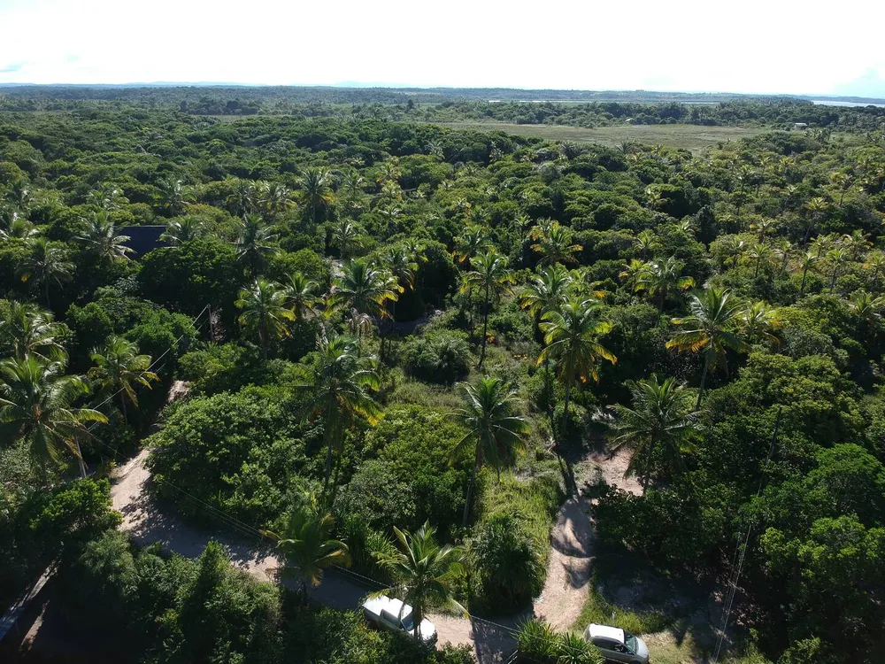 Terreno, 1500 m² - Foto 4
