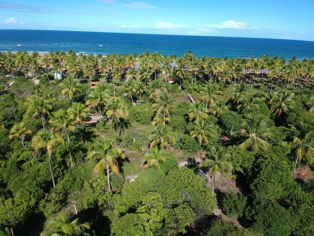 Terreno, 1500 m² - Foto 2