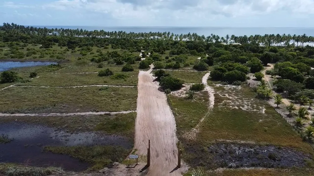 Terreno - Foto 4