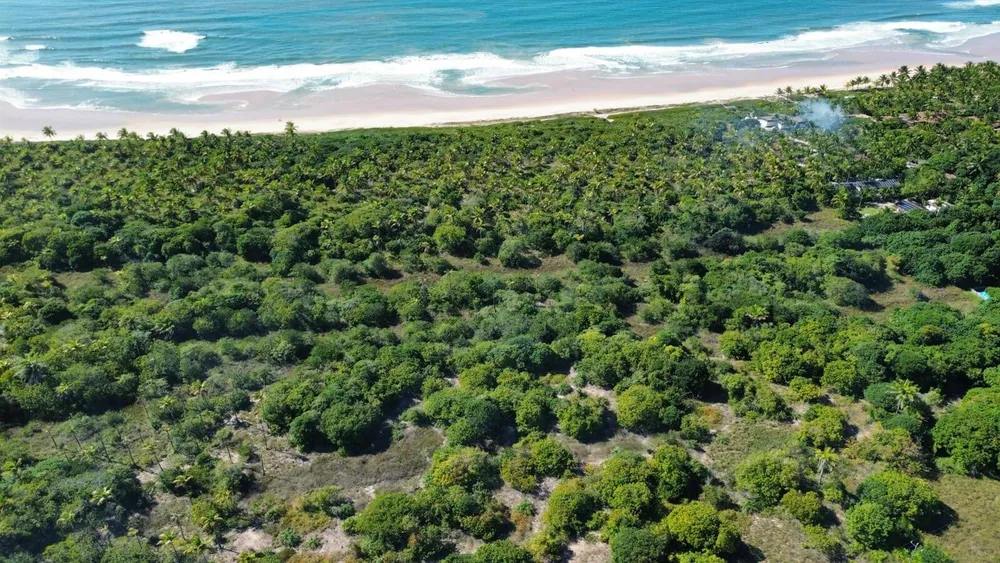 Terreno, 20 hectares - Foto 4