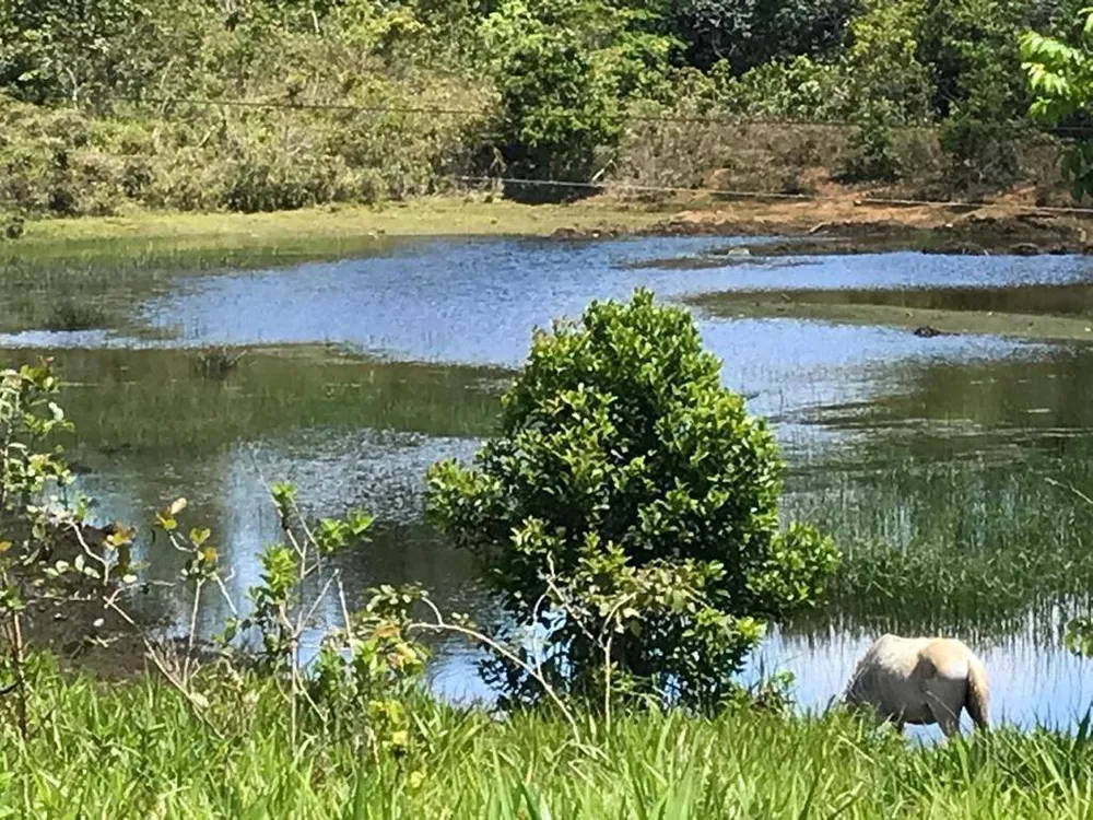 Terreno, 67 hectares - Foto 1