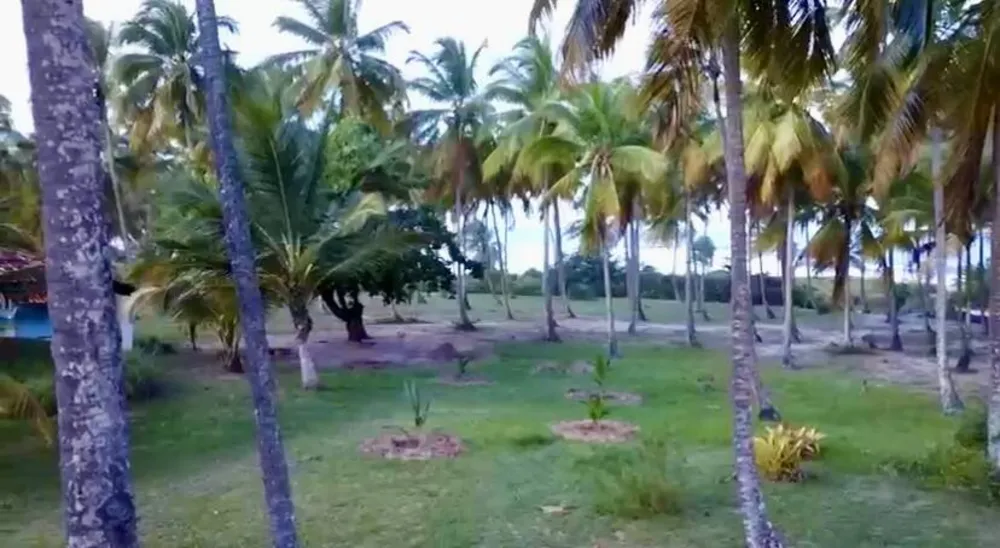 Terreno, 10 hectares - Foto 1