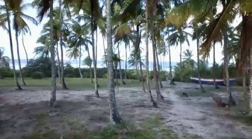 Terreno, 10 hectares - Foto 3