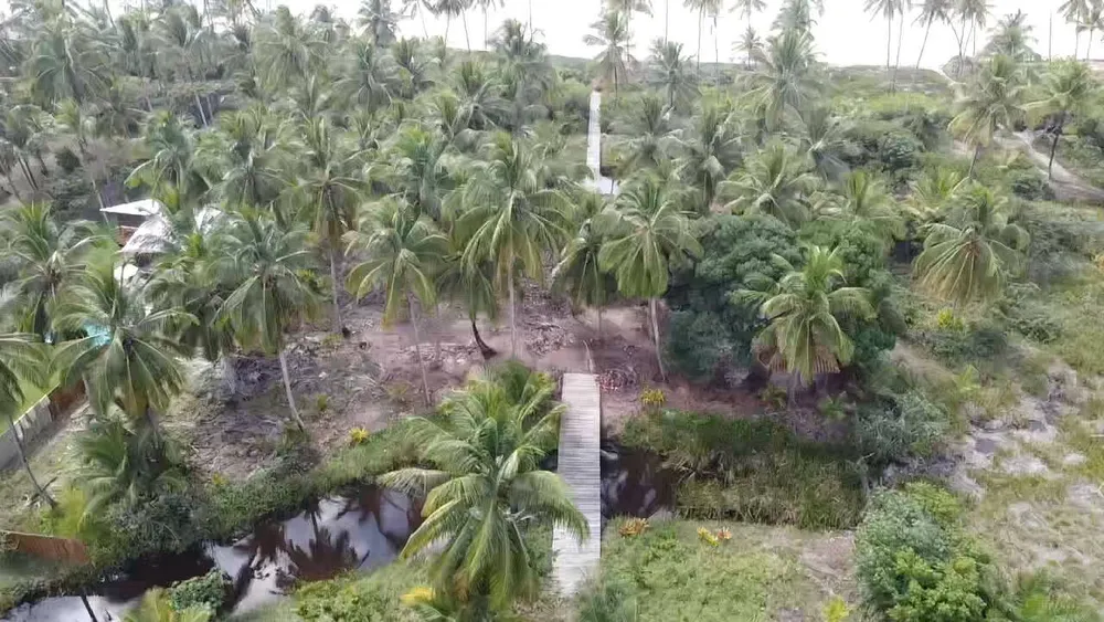 Terreno, 6000 m² - Foto 3