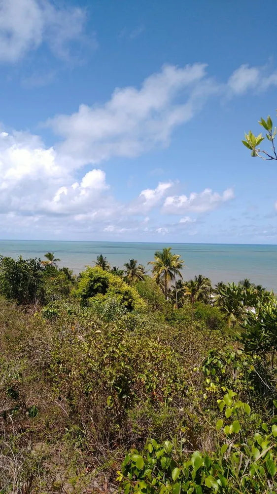 Terreno, 46 hectares - Foto 1