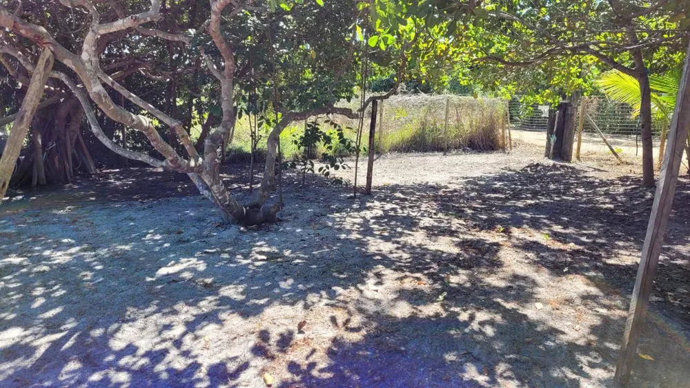 Terreno, 450 m² - Foto 2