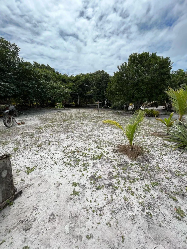 Terreno, 450 m² - Foto 3