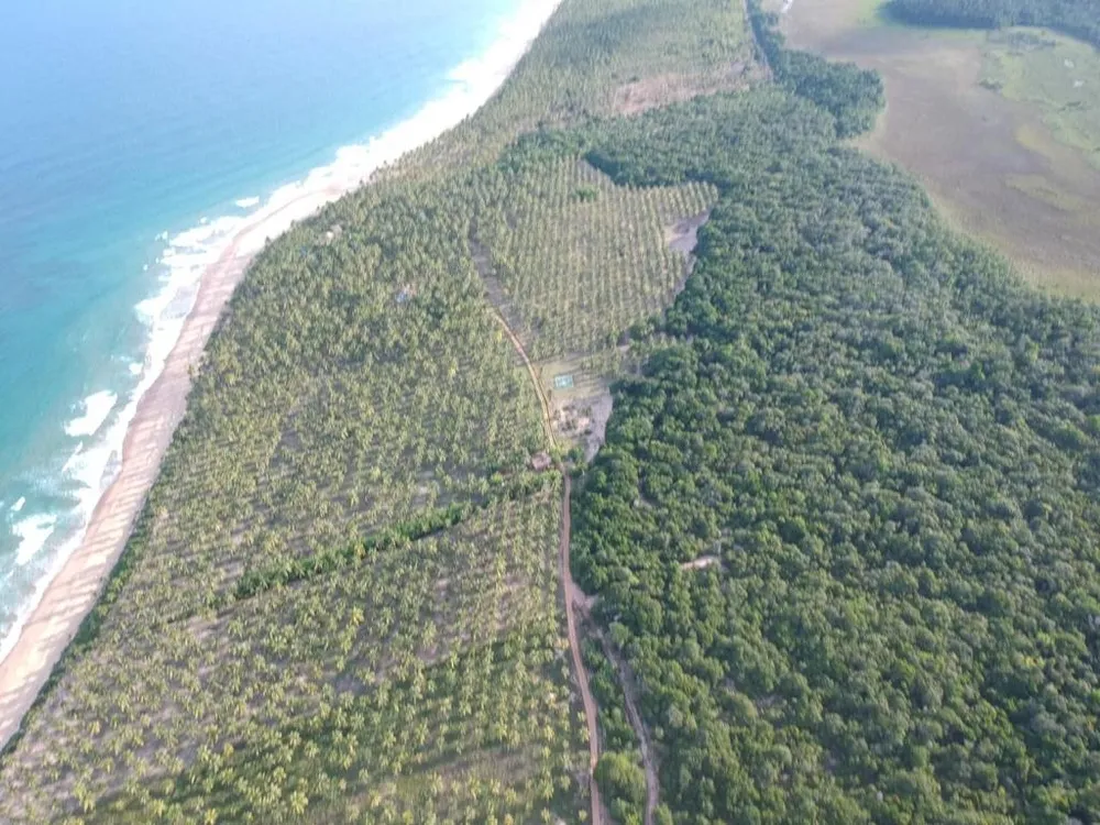 Terreno - Foto 5