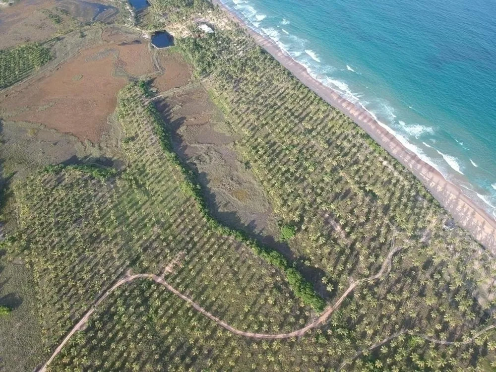 Terreno - Foto 4
