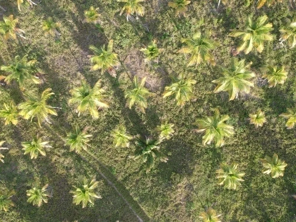 Terreno - Foto 2