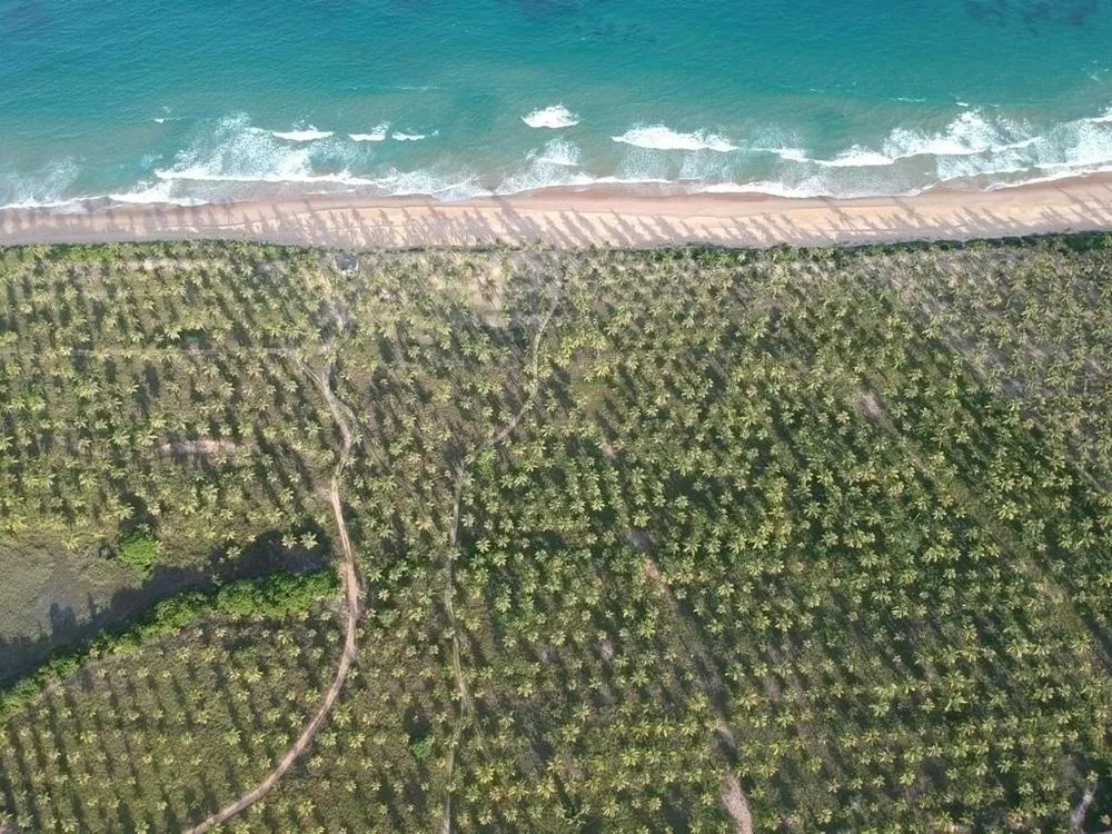 Terreno - Foto 1