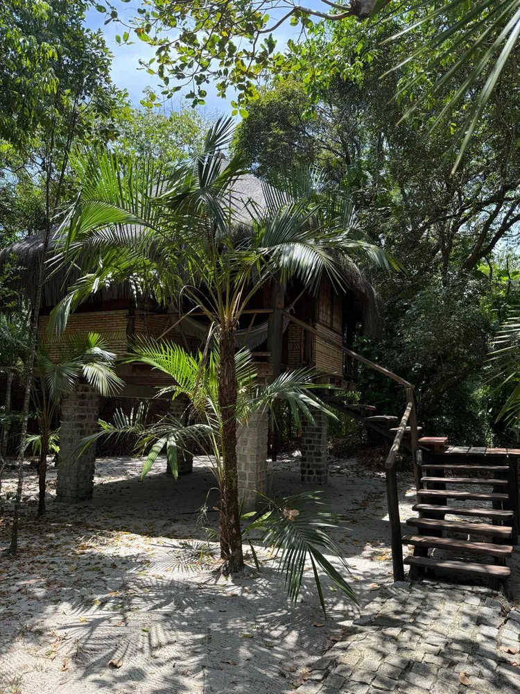 Casa, 12 quartos - Foto 4