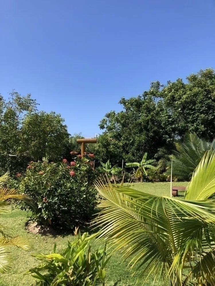 Casa, 6 quartos - Foto 6