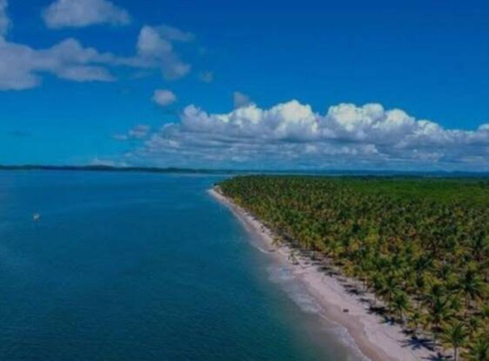 Terreno, 5500 m² - Foto 1