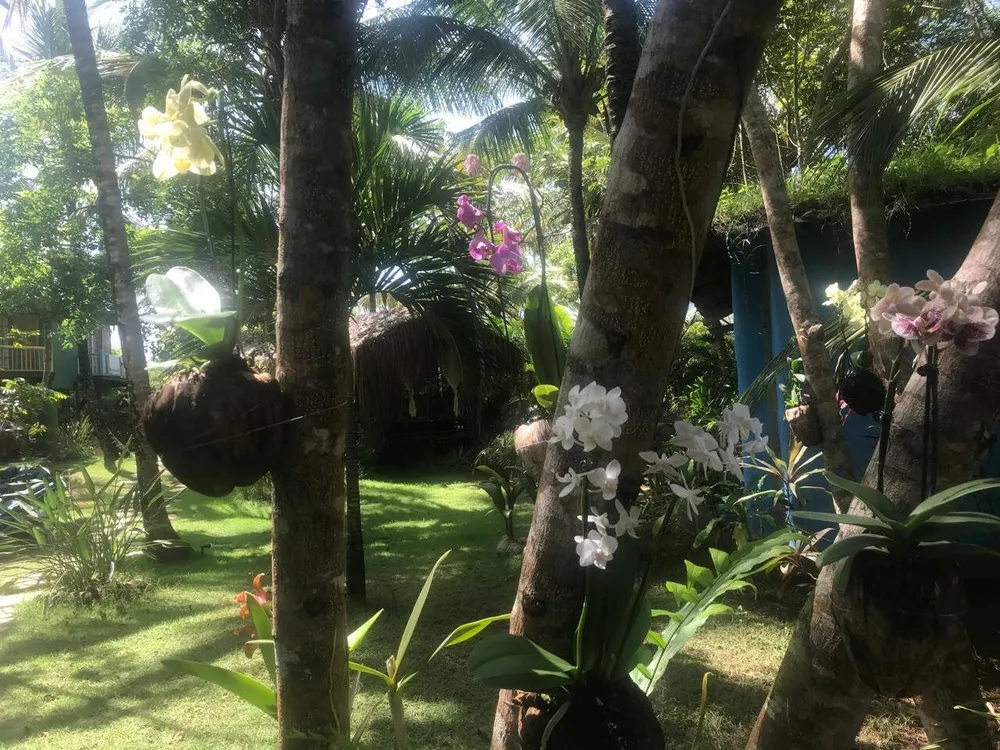 Casa, 18 quartos - Foto 4
