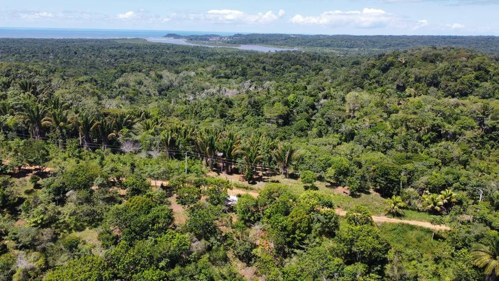 Terreno, 10000 m² - Foto 2