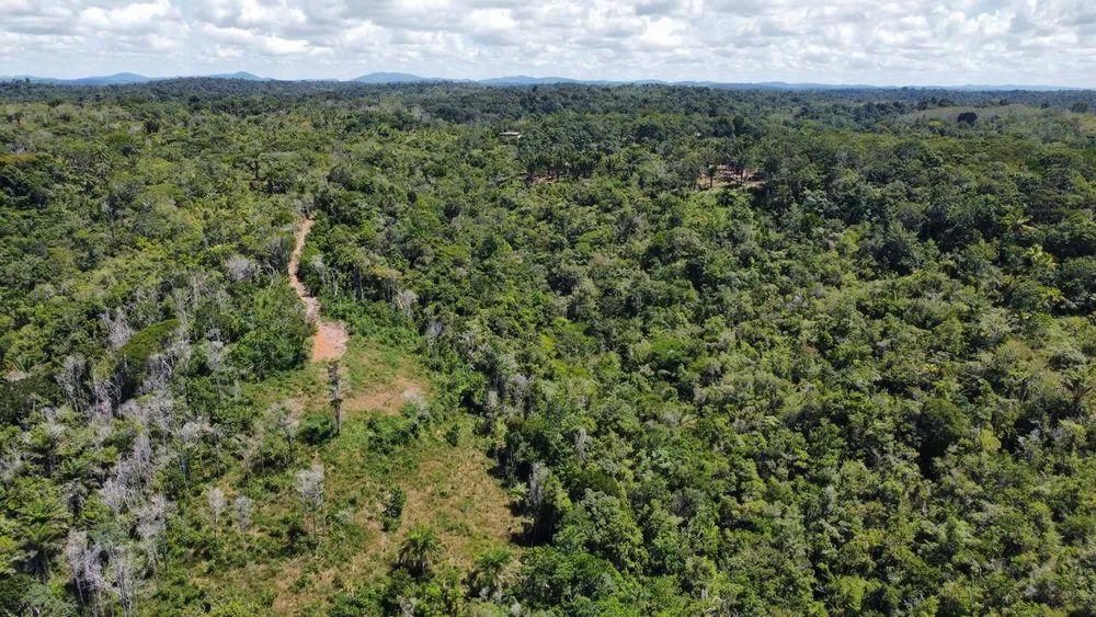 Terreno, 10000 m² - Foto 3