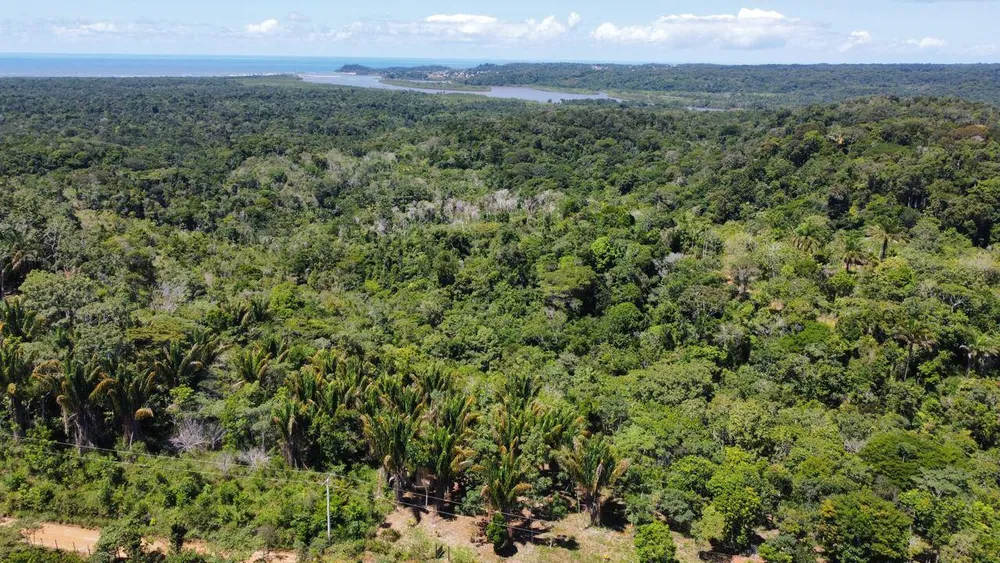 Terreno, 10000 m² - Foto 4