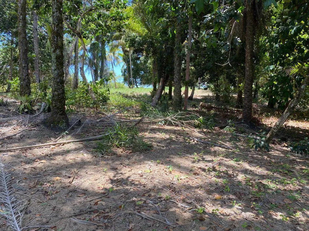 Terreno, 21 m² - Foto 5