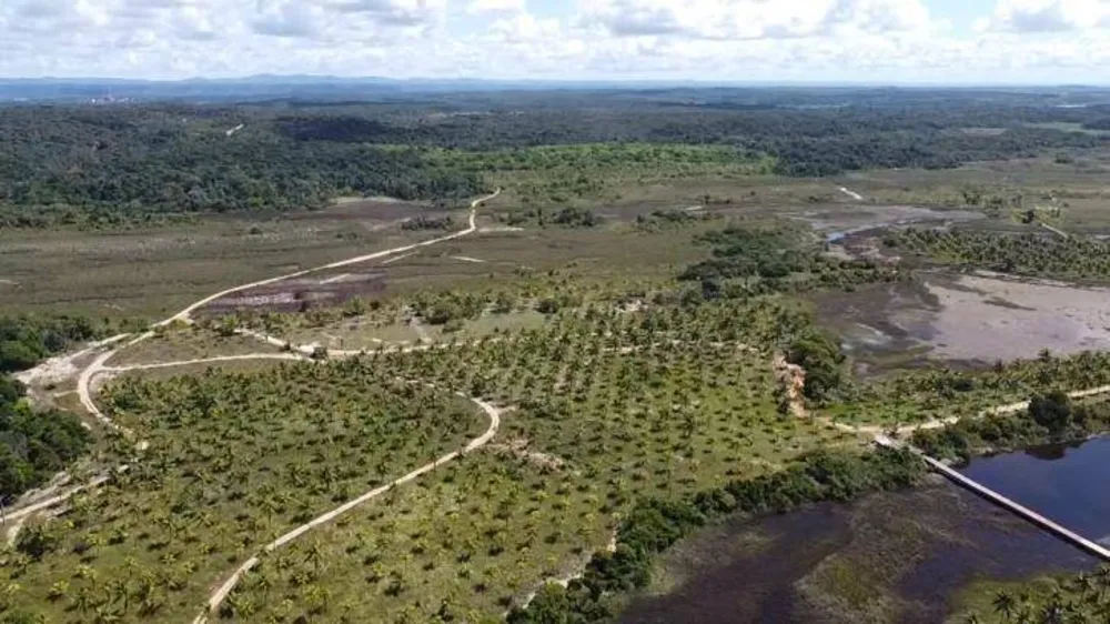 Terreno - Foto 4