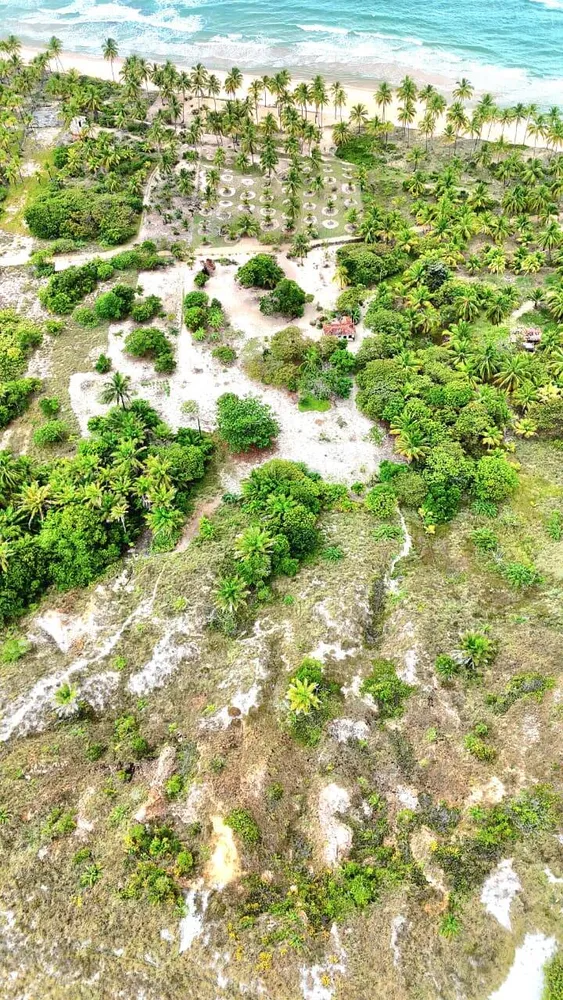 Terreno, 2 hectares - Foto 3