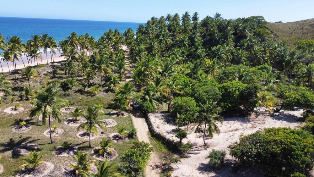 Terreno, 4800 m² - Foto 3