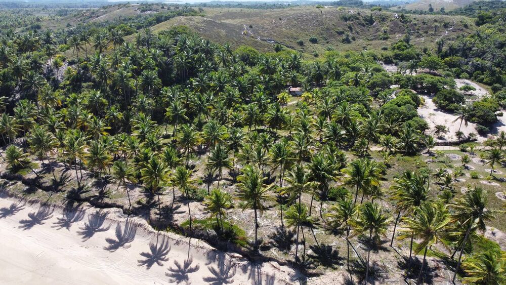 Terreno, 4800 m² - Foto 4