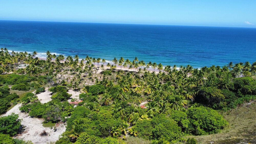 Terreno, 4800 m² - Foto 1