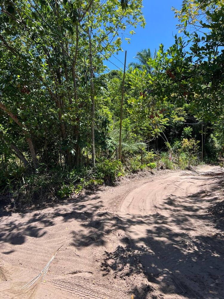 Terreno, 300 m² - Foto 5