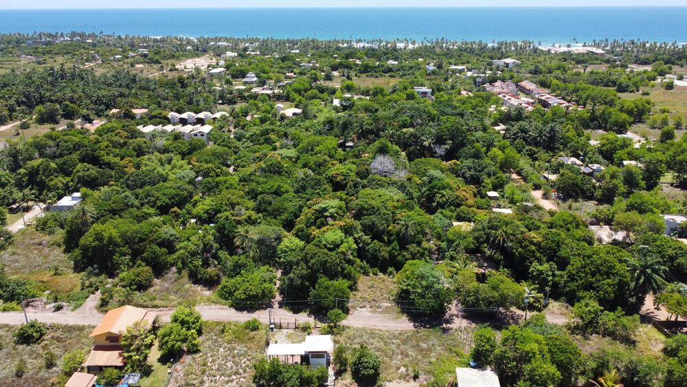 Terreno, 300 m² - Foto 2