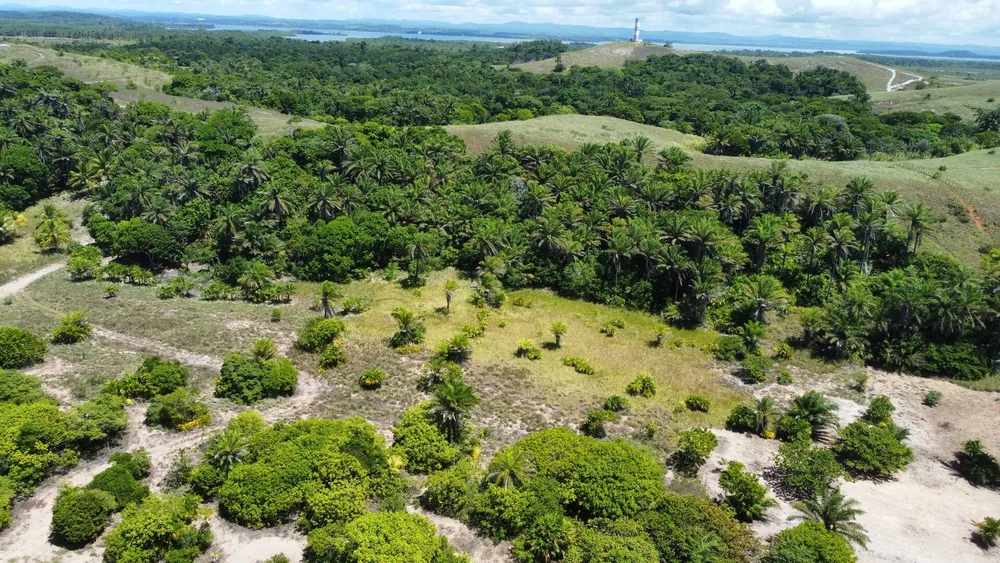 Terreno, 18 hectares - Foto 1