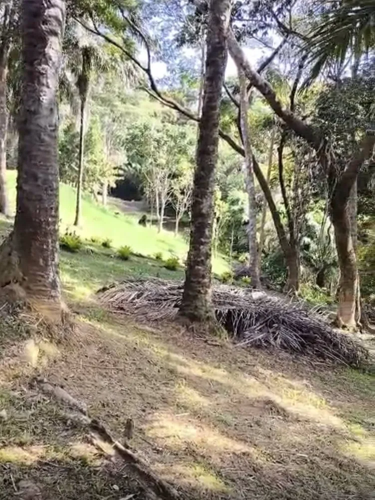 Terreno, 2000 m² - Foto 4