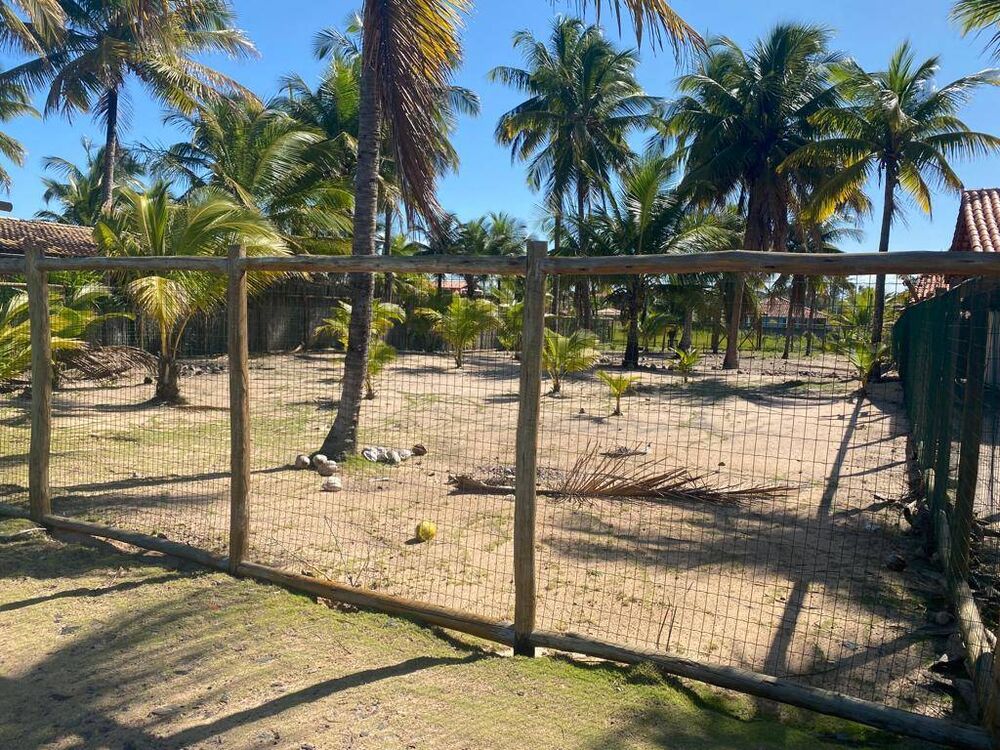 Terreno, 1000 m² - Foto 2
