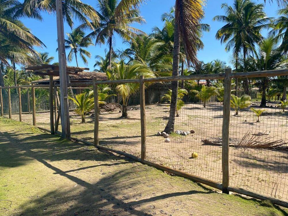 Terreno, 1000 m² - Foto 5